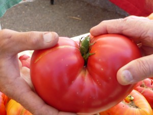 tomato-love