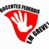 docentes-federais-em-greve-300×243