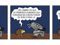 Velha Toupeira (45)