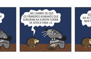 Velha Toupeira (45)